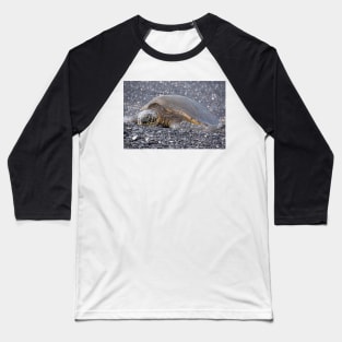 turtle Baseball T-Shirt